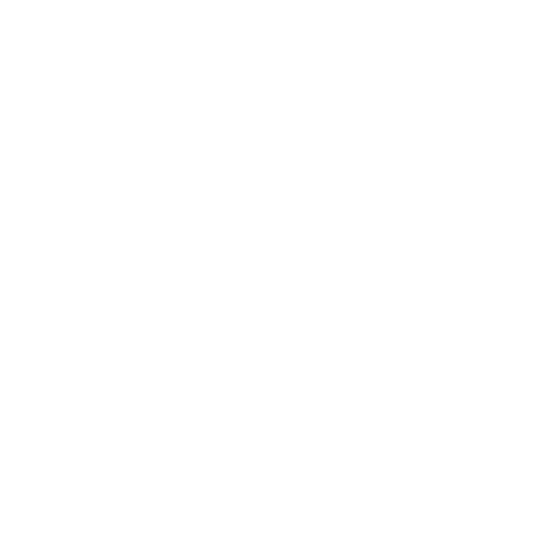 Black and White Personal Photographer Logo